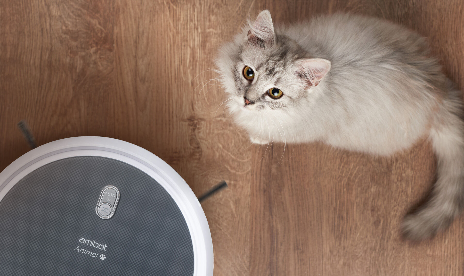 poils de chat aspirateur robot amibot animal